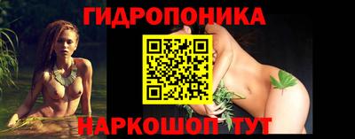 дмт Камышлов