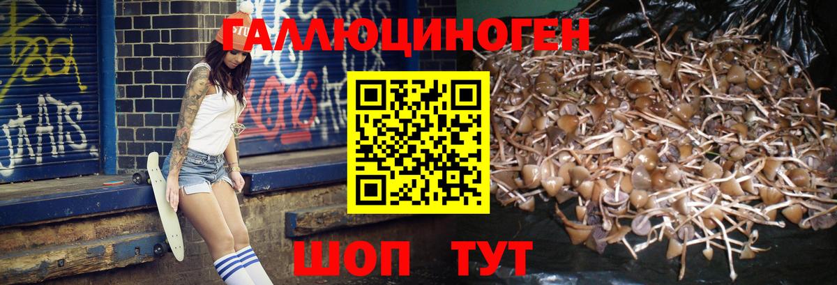 Энгельс  Псилоцибиновые грибы Magic Shrooms  где можно купить наркотик  Вход с VPN  Псилоцибиновые грибы Magic Shrooms 