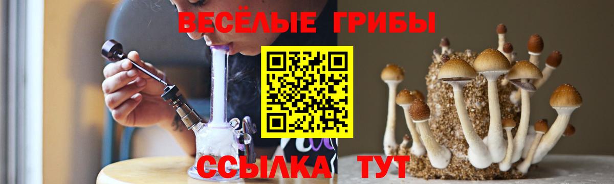Псилоцибиновые грибы мицелий Энгельс